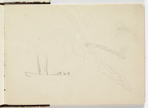 Untitled, 1841